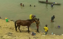 Forte canicule à Matam: les populations investissent en masse le fleuve pour gagner un peu de fraîcheur