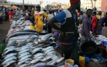 ​Inondation au marché Central au poisson de Pikine : le Collectif national des mareyeurs réclame des mesures urgences