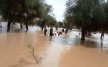 ​Inondations à Linguère : les populations du village de Nginth perdent leurs semences et bien d'autres biens