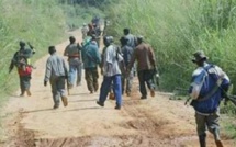 Casamance: 3 jeunes du village de Senghère Baïnounck libérés après avoir été kidnappés