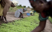 Les défis prioritaires de Caritas Sénégal attendus ce dimanche