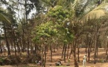 ​ Litige foncier sur le littoral à Guédiawaye : les maraîchers accusent le préfet de vouloir les déguerpir sans raison