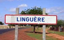 ​Linguère : le village de Daïly ravagé par le feu