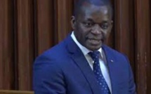 ​Assemblée nationale : Alioune Sarr annonce le projet de construction d'un musée dédié aux femmes de Nder