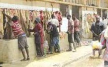 Société de Gestion des Abattoirs du Sénégal: les chevillards en arrêt de travail fustigent la mauvaise gestion du DG