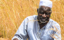 Yacouba Sawadogo, «l’homme qui a arrêté le désert», s’est éteint