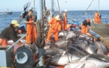 Pratique de pêche illicite dans les eaux sénégalaises : le spectre du carton rouge après le jaune