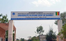 CAMES 2024 :  l’Université Alioune Diop de Bambey brille avec 82, 35% de réussite