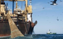 Pêche : « Les seuls bateaux autorisés à pêcher dans les eaux sénégalaises sont ceux de l’UE», (ministre)