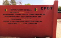 Reverdissement du Sénégal : la commune de Colobane offre 4 ha pour une pépinière de plants de reboisement