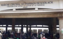 Marché central aux poissons de Kaolack : les commerçants dénoncent leurs conditions de travail et menacent ...