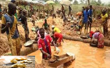 Tambacounda: 32 orpailleurs appréhendés par les éléments du Parc national de Niokolokoba