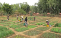 Mali: Teriyabougou, un lieu d'inspiration