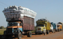 ​Traversée de la Gambie : 400.000 F CFA par camion comme frais de passage fixé par Jammeh, les transporteurs sénégalais pas d'accord 