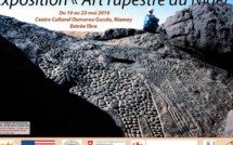 Art rupestre: quand le Niger était verdoyant