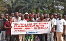 Mobilisation en France et en Afrique contre la Socfin